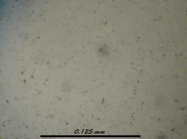 Microphotograph of Plasma Sprayed Chromium Oxide Coating X500