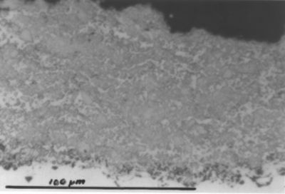 Microstructure of HVOF Sprayed Tungsten Carbide / Cobalt Chromium Coating ( WC/10Co4Cr ) Coating