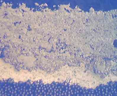 Plasma Sprayed Tungsten Carbide/Cobalt Chromium Coating on Carbon Fibre Reinforced Polymer Substrate