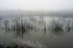 Lake Shrouded in Fog