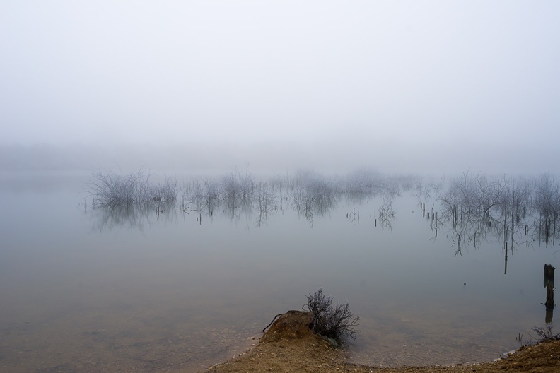 Lake Shrouded in Fog