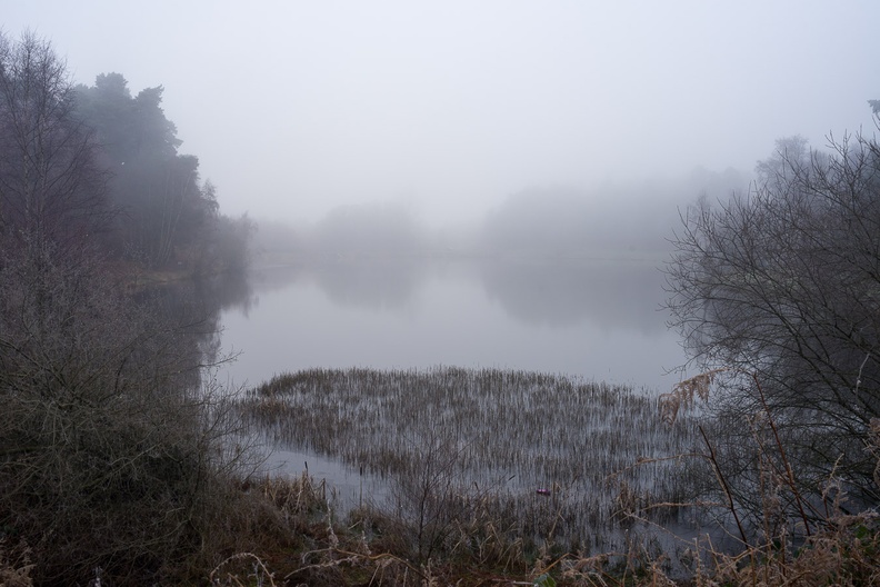 Foggy Bourley Lake