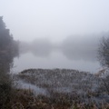 Foggy Bourley Lake