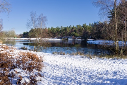 Wintery Bourley Lake