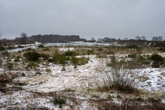 Wintery Gravel Pit