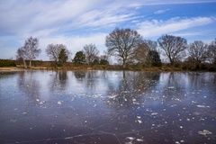 Frozen Horse Swimming Pond