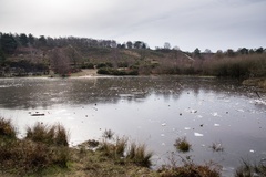 Frozen Horse Swimming Pond