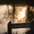 Friends Pond Reflection
