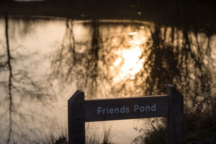 Friends Pond Reflection