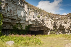 Winspit Quarry Caves
