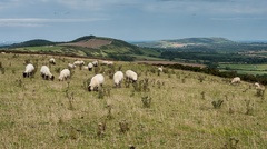 Dorset Purbeck Hills
