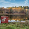 Autumnal Bourley Reservoir #2