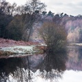 Bourley Lake Winter Colour