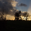 Nearing sunset over Farnham Park - 6d00231