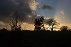 Nearing sunset over Farnham Park - 6d00231