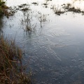 Ice Formation - pk115928