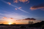 Heathland Sunset - pk116437