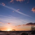Heathland Sunset - pk116441