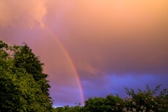 Rainbow Sunset - pk117265