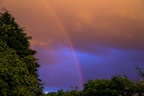 Rainbow Sunset - pk117268