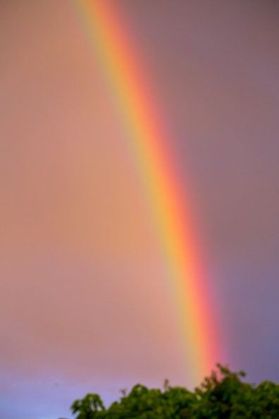 Rainbow at Sunset - 6d1373