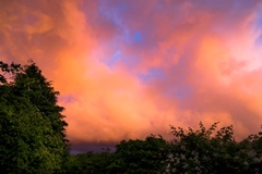 Stormy Sunset Clouds - pk117277