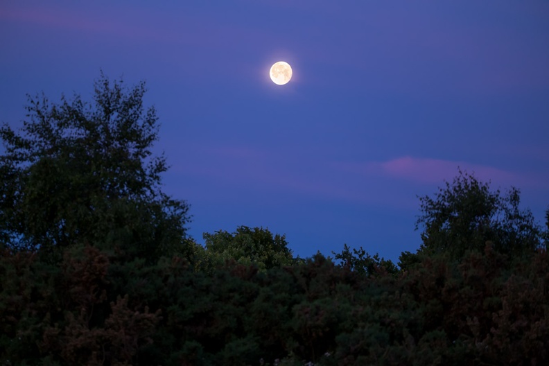 moon-twilight-s150-g-600-6d2312.jpg