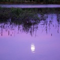Dawn Twilight Moon Reflection - 6d2315