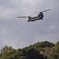 Chinook Helicopter - 6d5104