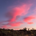 Pink Clouds at Dusk - pk118341