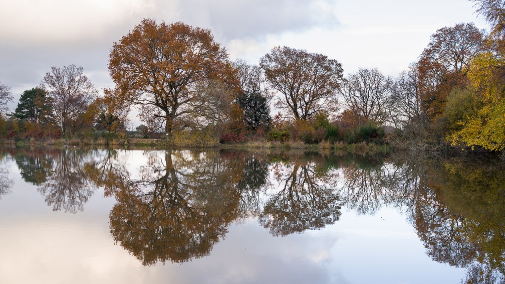 Autumn Reflection - pk118388
