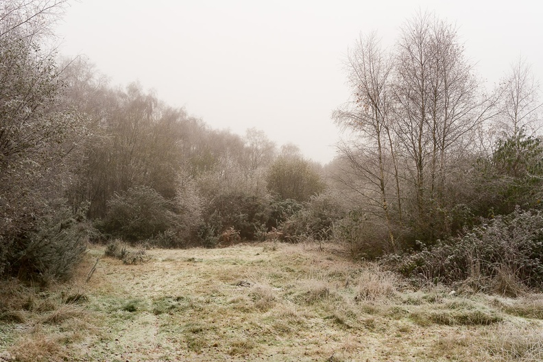 frosty-landscape-sam35-g-pk118512.jpg