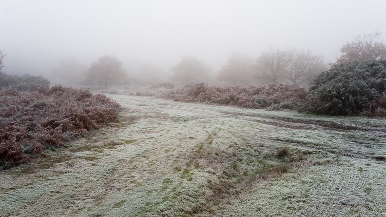 Freezing Fog Landscape - pk118580