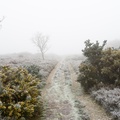 freezing-fog-sam35-g-pk118554.jpg