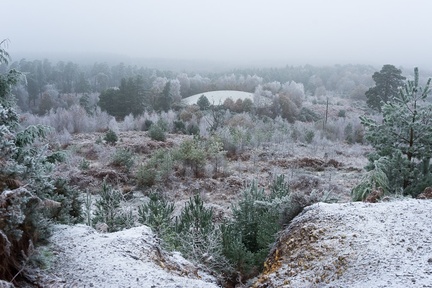 Winter Frost Landscape - pk118719