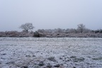Heathland Winter - pk118711