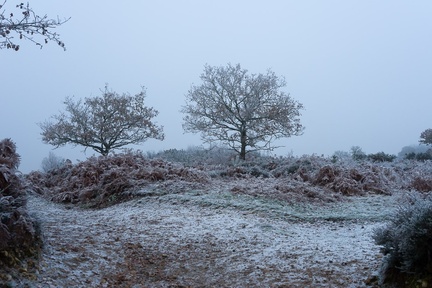 Winter Frost Landscape - pk118701