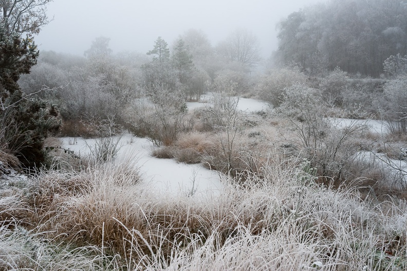 Frozen Heathland Waterhole - pk118672