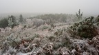 Winter Frost Landscape - pk118709