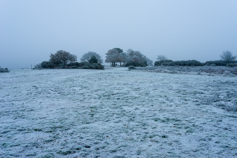 Winter Landscape - pk118726