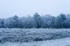 Winter Twilight Scene - pk118787
