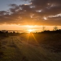 Heathland Sunset - pk118871