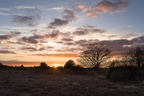 Heathland Sunset - pk118913