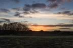 Heathland Sunset - pk118925
