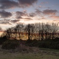 Heathland Sunset - pk118923