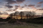 Heathland Sunset - pk118923