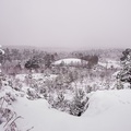 Snow Covered Heathland Landscape - pk110002