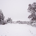 Heathland Lake Snow Scene - pk110041
