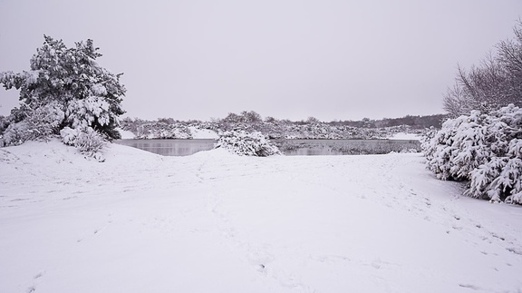 Heathland Lake Snow Scene - pk110044