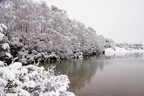 Heathland Lake Snow Scene - pk110045